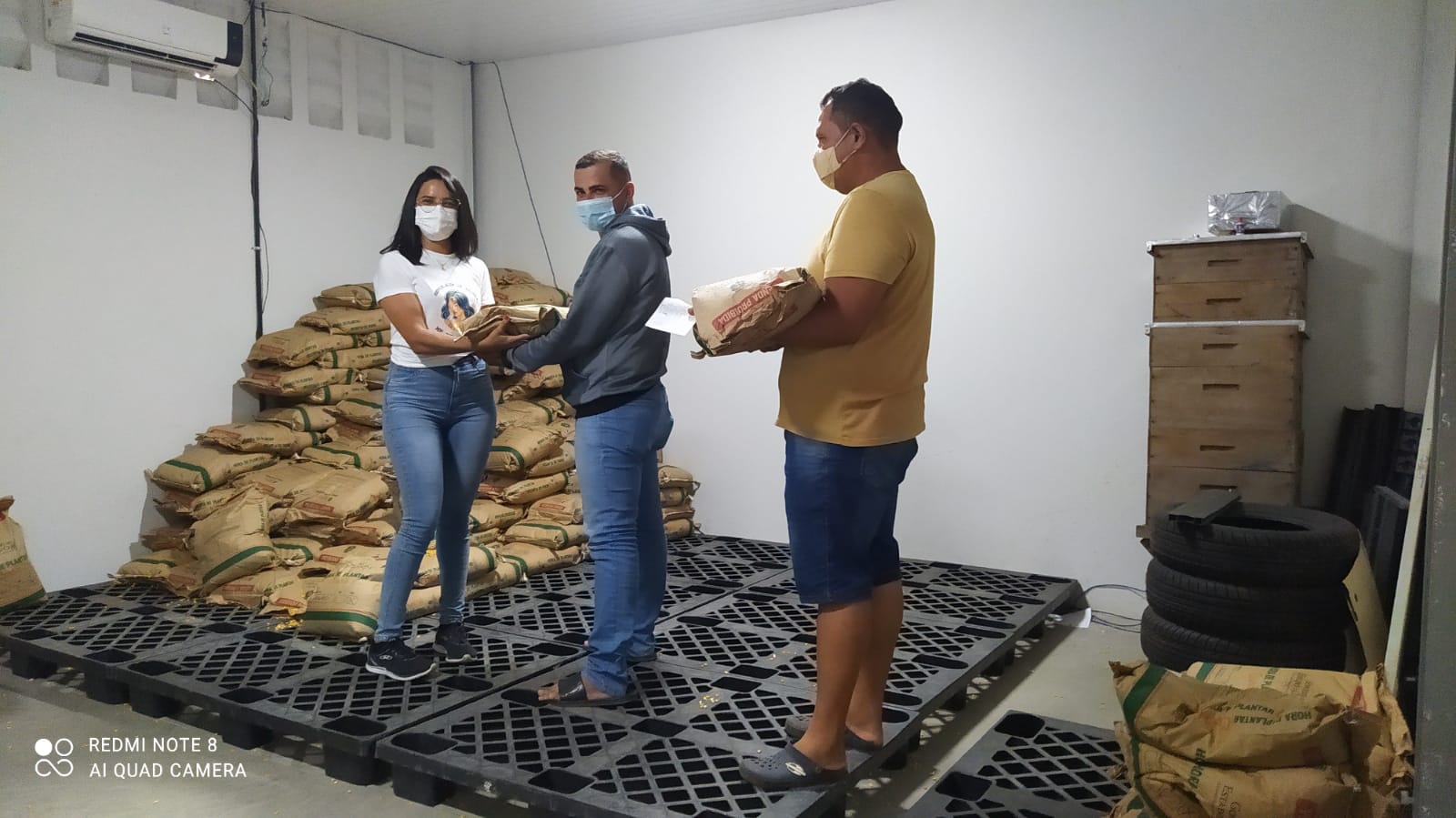 Crato(CE): Ematerce distribui sementes para agricultores do Programa Hora de Plantar