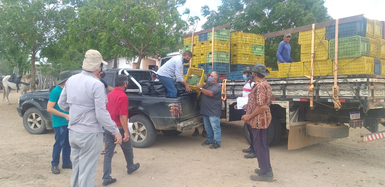 Ematerce distribui sementes e mudas para agricultores de Aracoiaba-CE