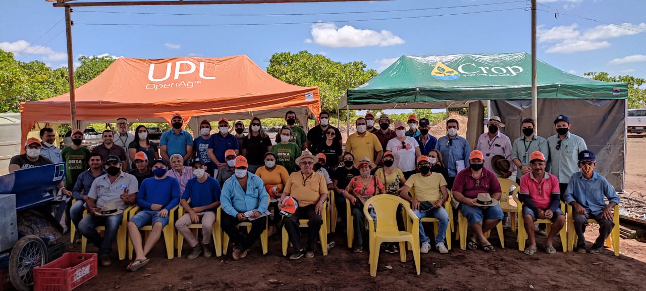 Técnicos da Ematerce visitam plantios de cajueiros no Rio Grande do Norte e conhecem inovações técnicas