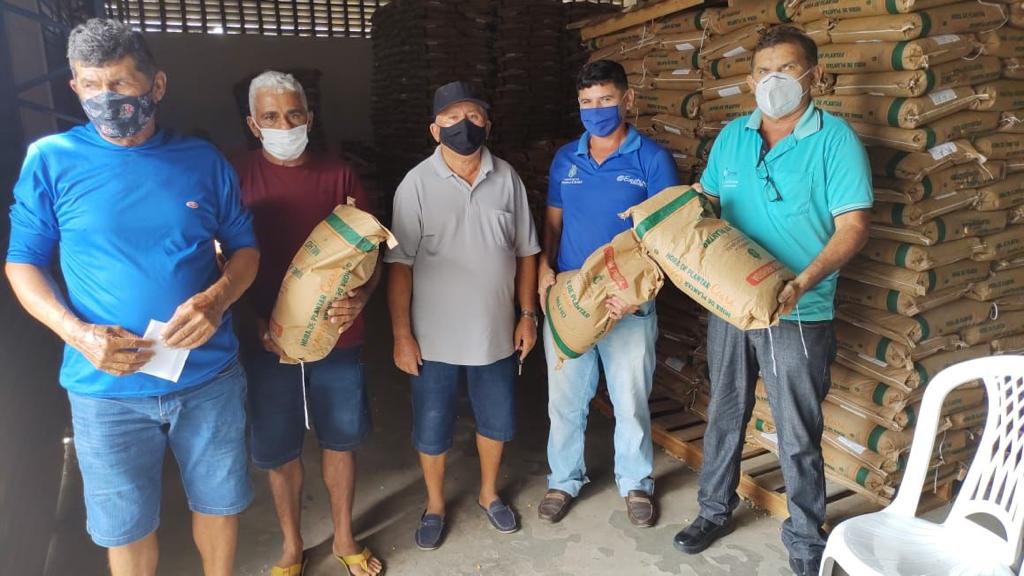 Quixeramobim-CE: Ematerce inicia distribuição de sementes selecionadas