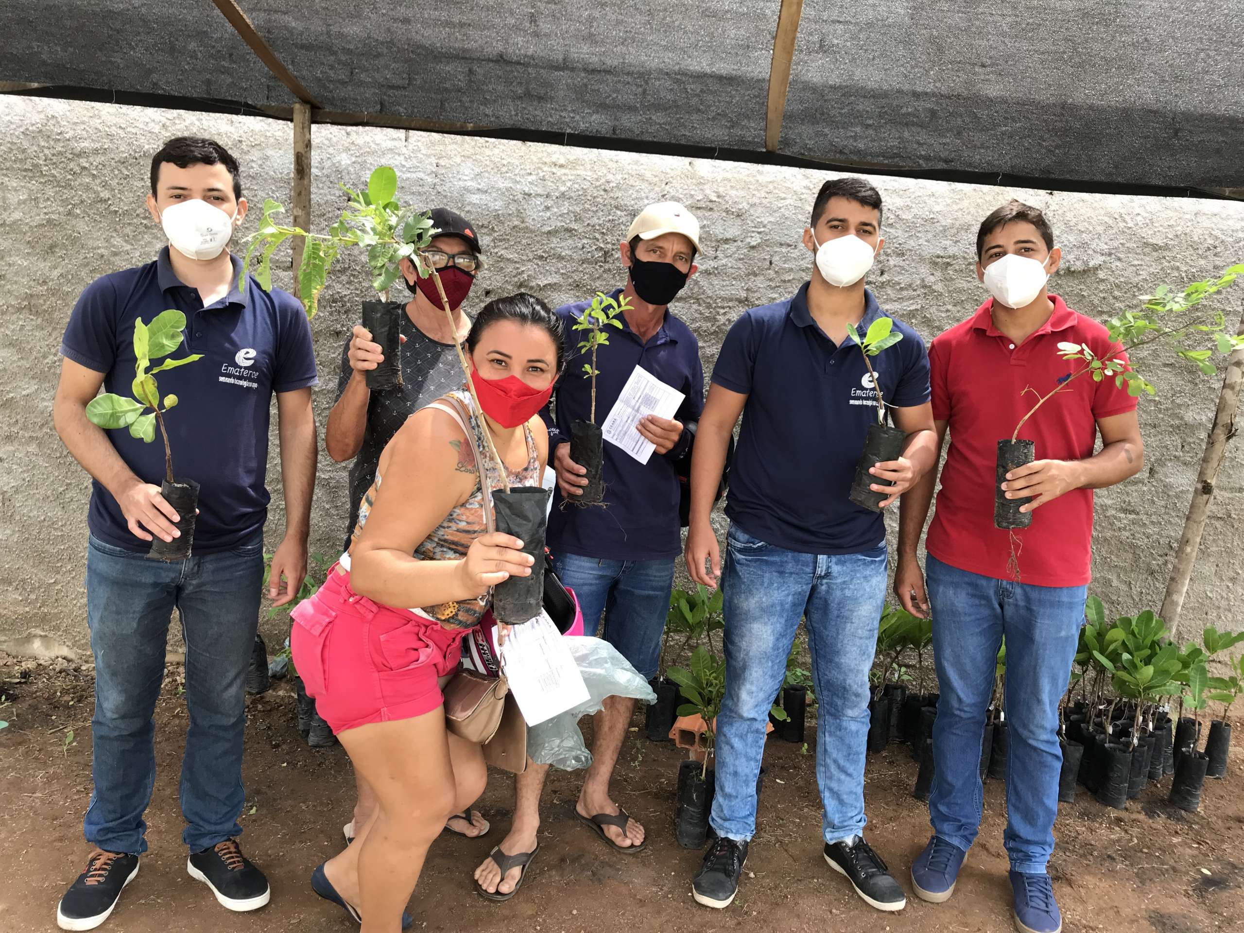 Hidrolândia(CE): Posto Avançado da Ematerce distribui mudas frutíferas aos agricultores