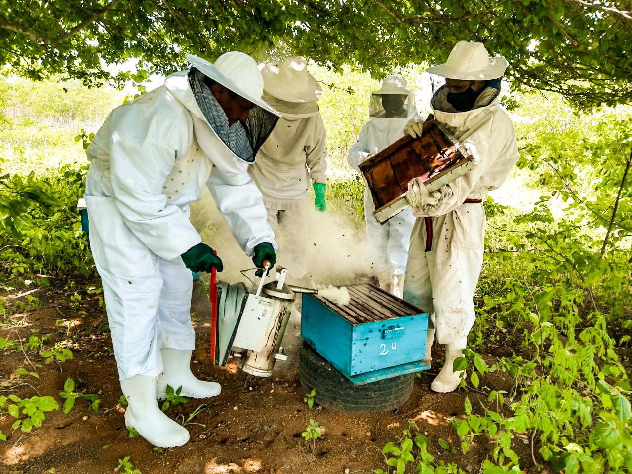 Crateús (CE): Ematerce presta ATER a apicultores e produtor de leite nos Inhamuns