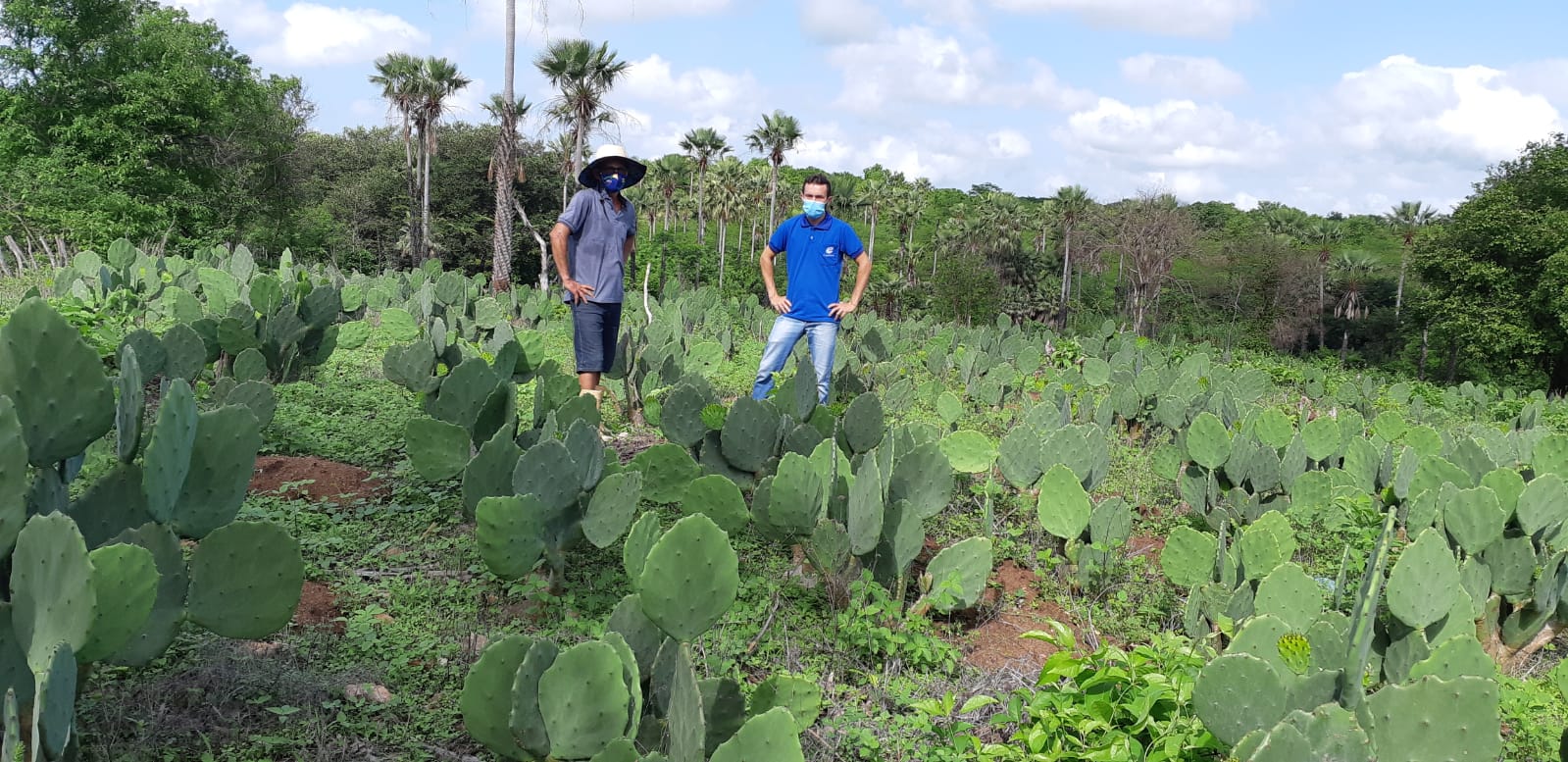 16 DE FEVEREIRO: DIA DE CRIAÇÃO DO SERVIÇO DE EXTENSÃO RURAL DO CEARÁ