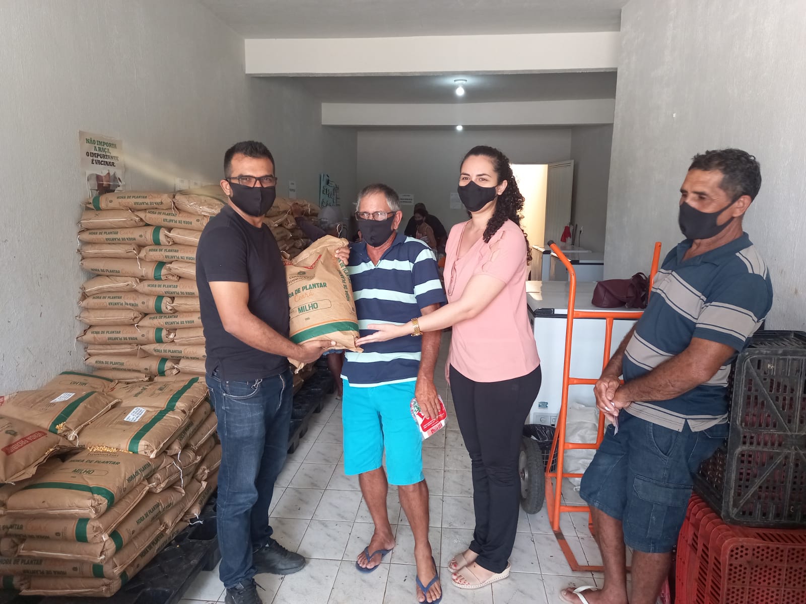 Ematerce encerra distribuição de sementes selecionadas no município de Varjota-CE