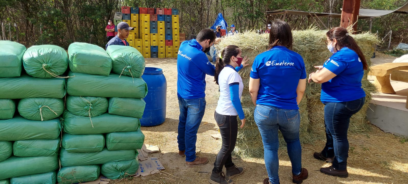 Prorrogado, por mais 12 meses, os contratos dos bolsistas do Programa Agente Rural