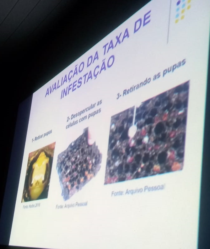 Crato-CE: Ematerce inicia ciclo mensal de palestras técnicas