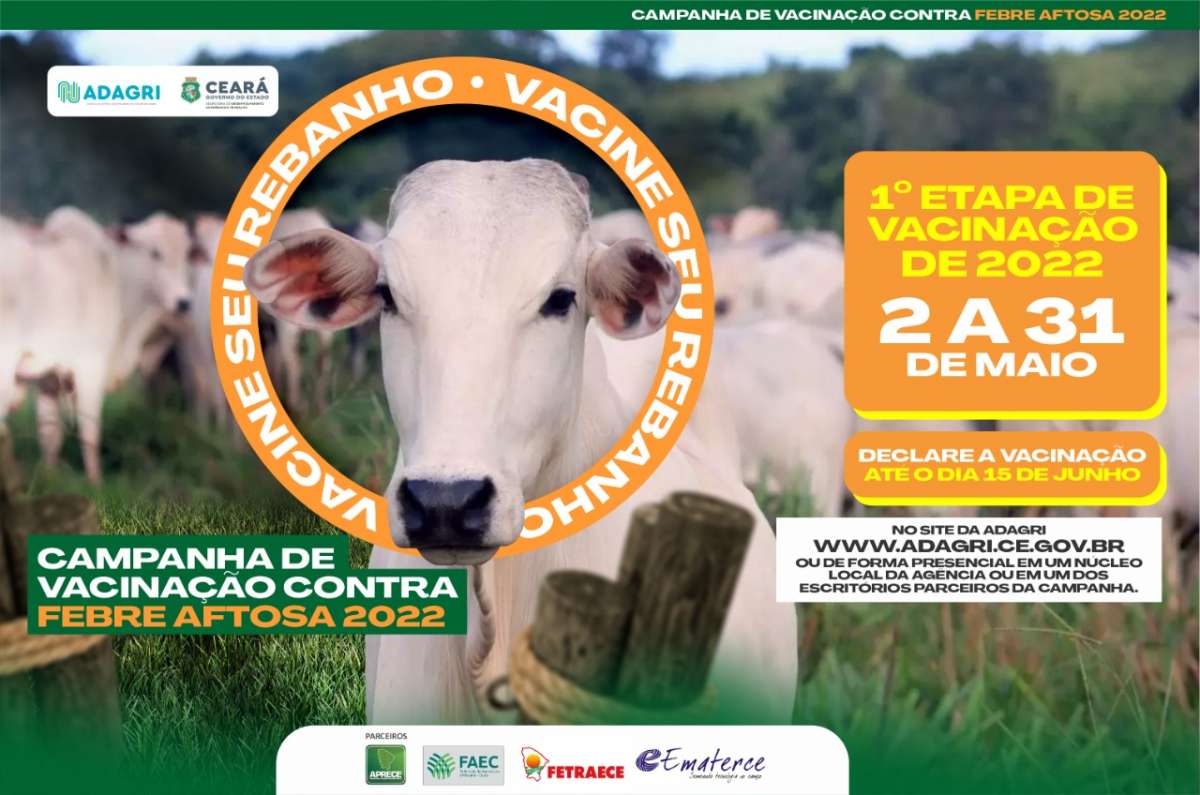 Ematerce informa prazo final para vacinação contra febre aftosa