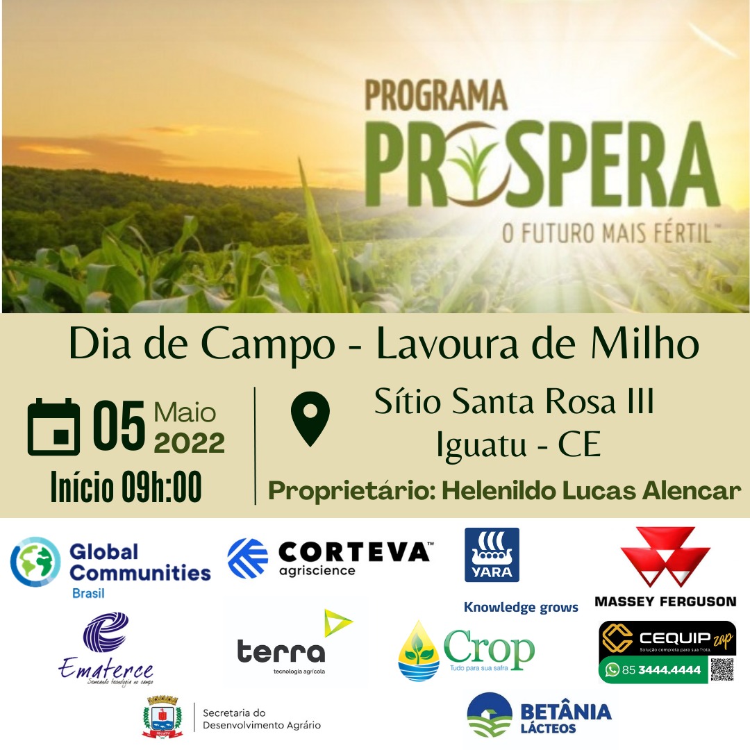 Programa Prospera, em parceria com Ematerce, realiza Dia de Campo sobre milho híbrido