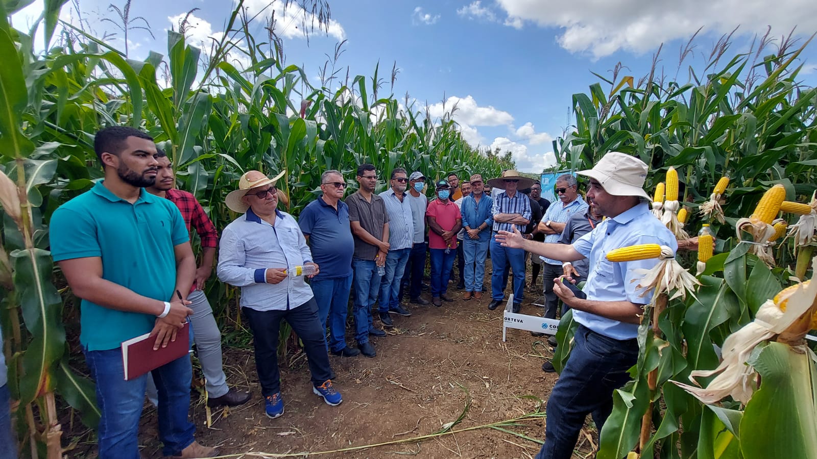 Porteiras (CE): Ematerce participa de dia de campo sobre milho híbrido no Cariri