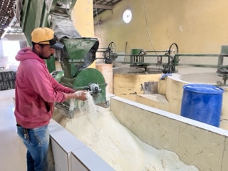 Salitre-CE: a capital cearense da mandioca com agricultores assistidos pela Ematerce