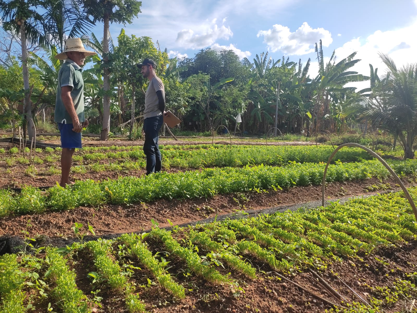 Lavras da Mangabeira – CE: Projeto Mandala completa 10 anos de sucesso