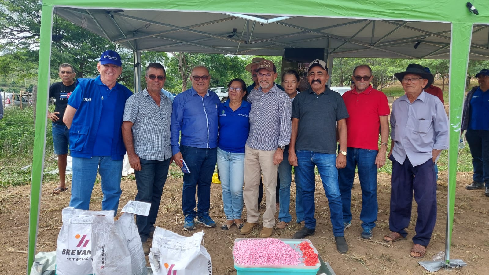 Porteiras: Ematerce e Prospera iniciam cultivo de milho com alto potencial genético no Cariri