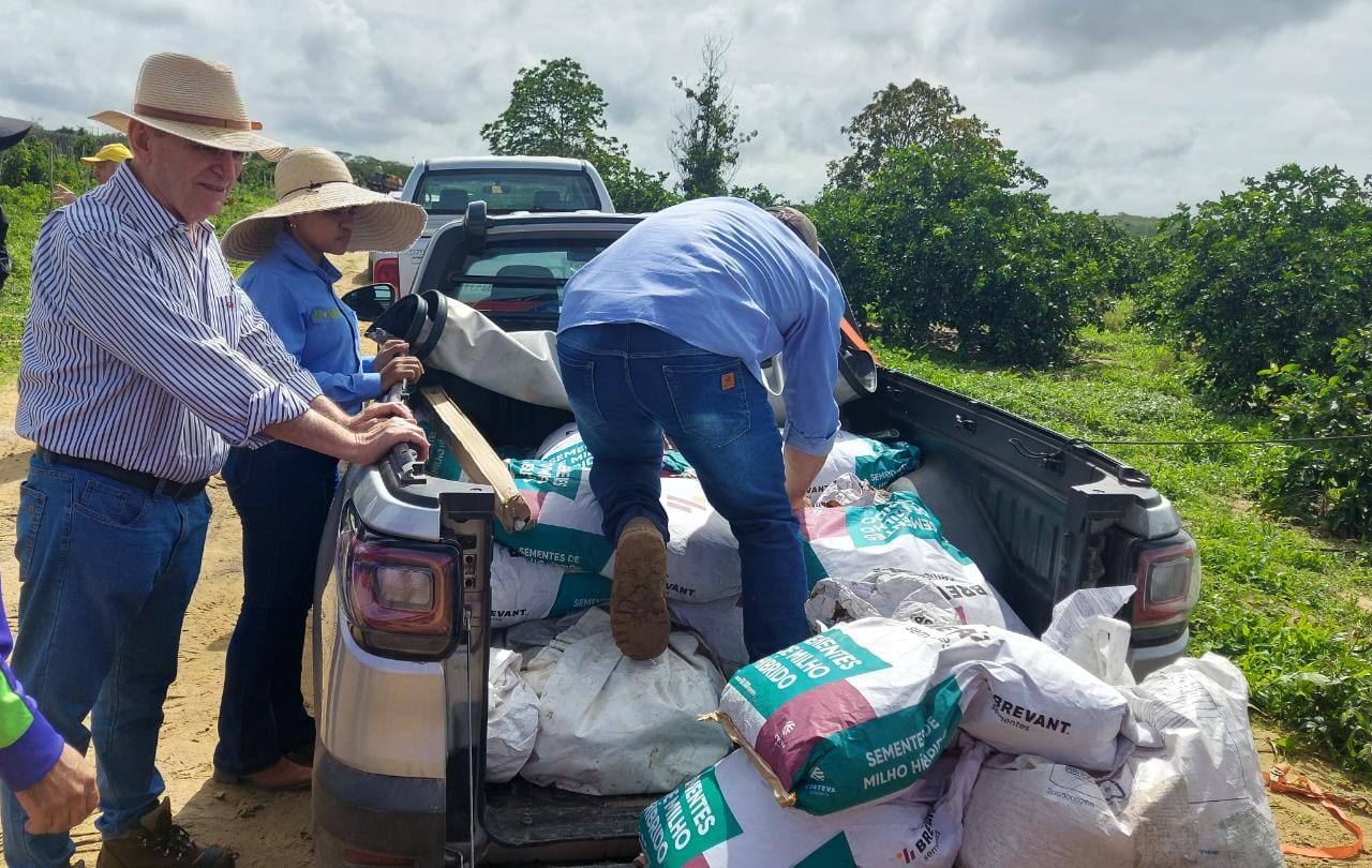 Tianguá (CE): Ematerce e Prospera realizam plantio de milho melhorado geneticamente