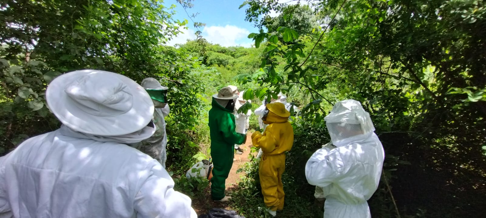 Itatira (CE): Ematerce realiza capacitação em apicultura com produtores