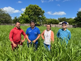 Emater: PIMP fortalece cadeia produtiva da irrigação no Ceará,com 558 projetos implantados