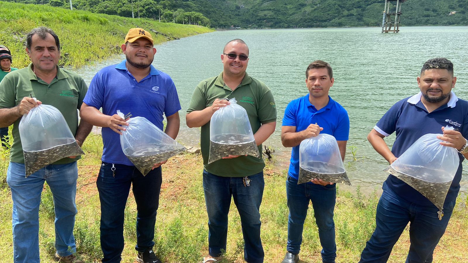 Uruburetama- CE: Ematerce realiza peixamento do Açude Mundaú, com 25 mil alevinos