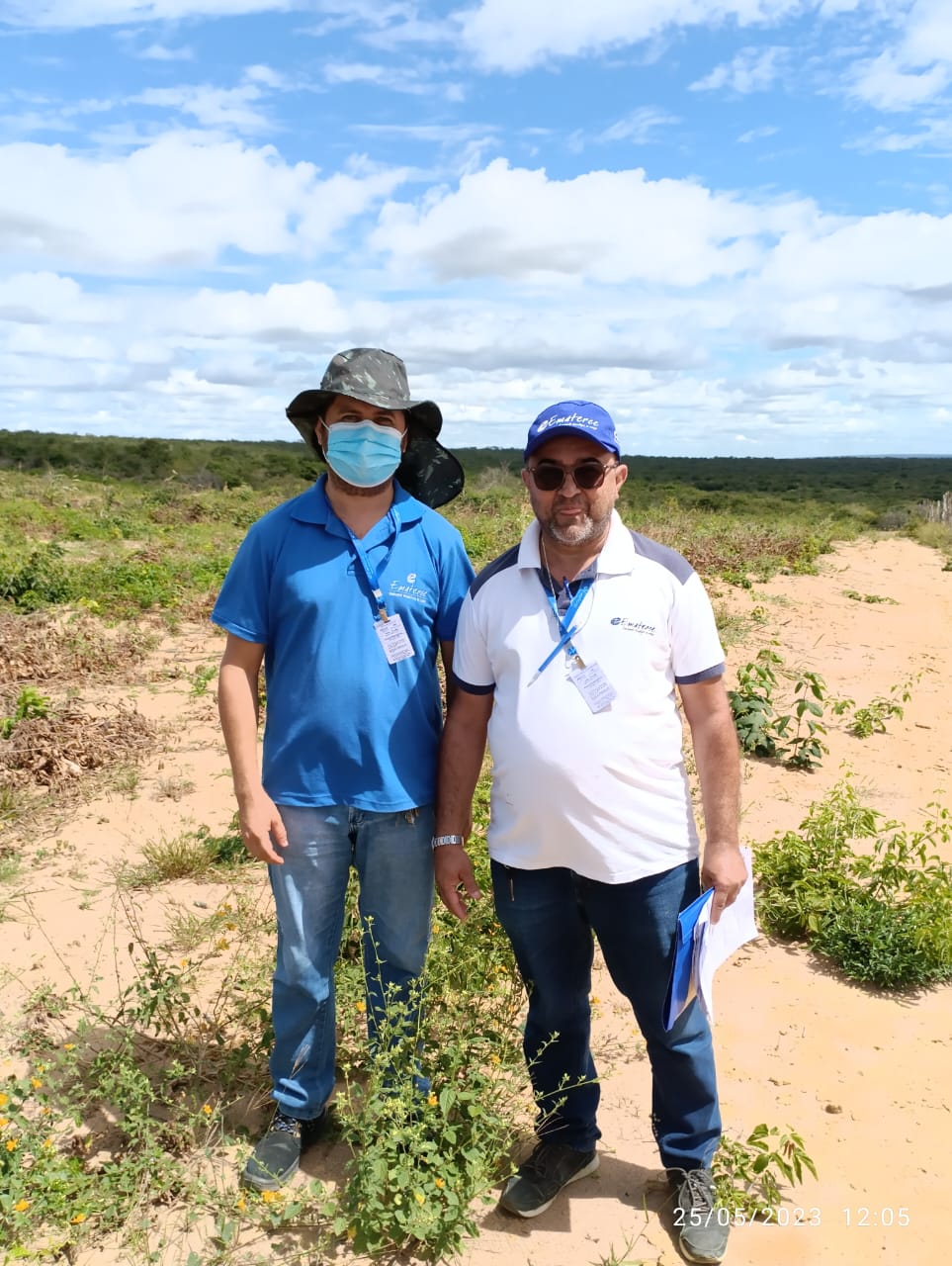 Tauá-CE: Ematerce elabora projeto para financiamento de plantio de mognos africanos