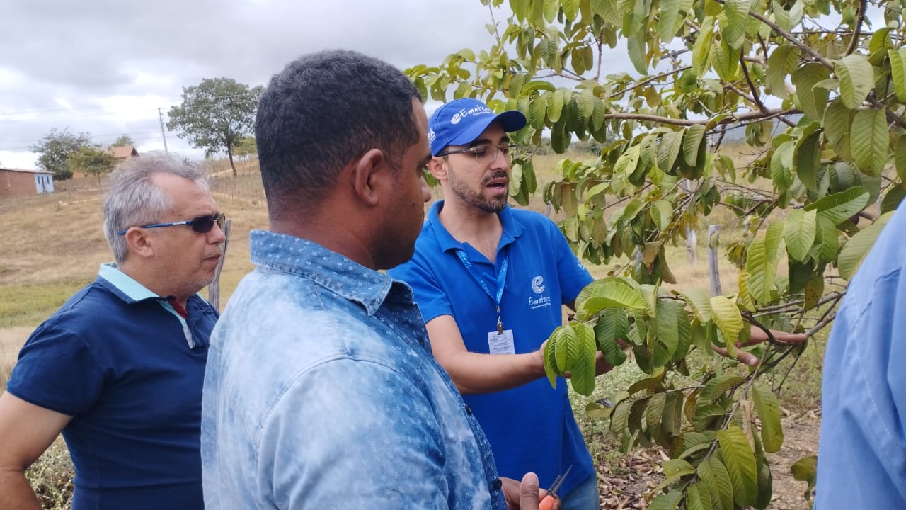 Ematerce realiza oficina sobre aplicação de fungicida natural em fruteiras