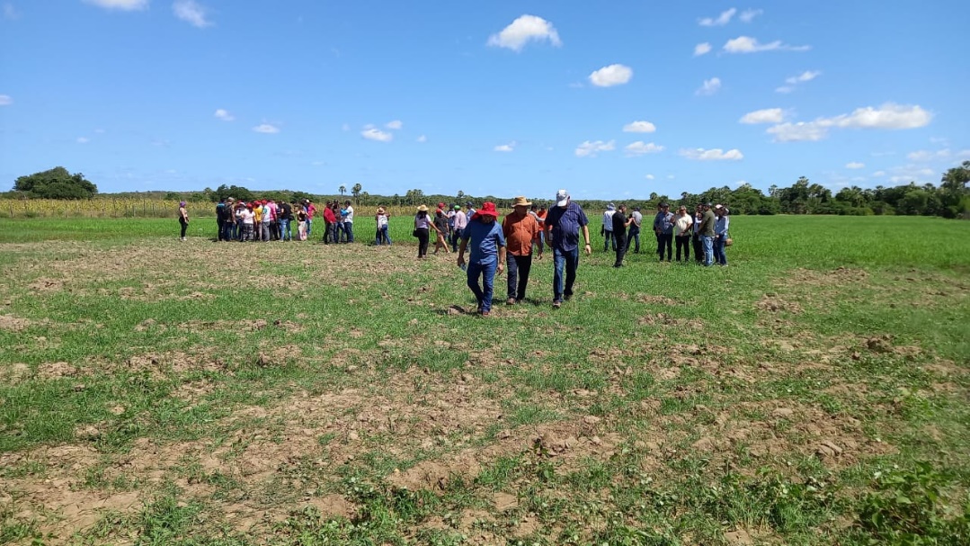 Ematerce participa de Missão Chinesa no Rio Grande do Norte sobre mecanização agrícola