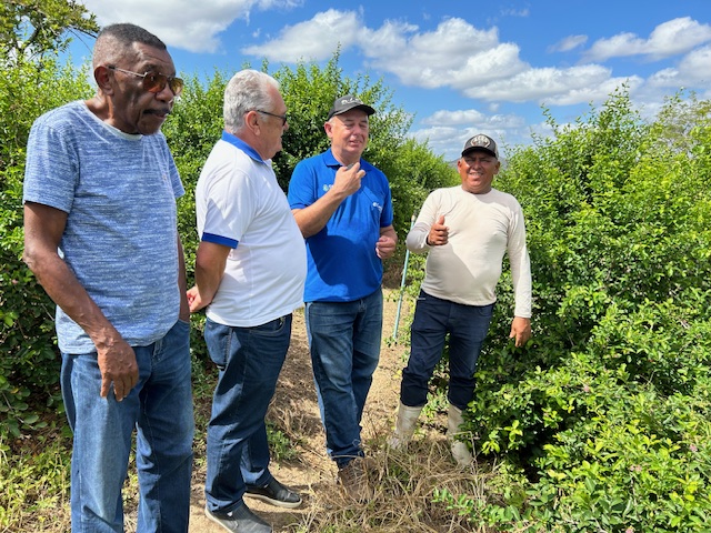 Maranguape-CE: Ematerce orienta pequenos e médios produtores de acerola