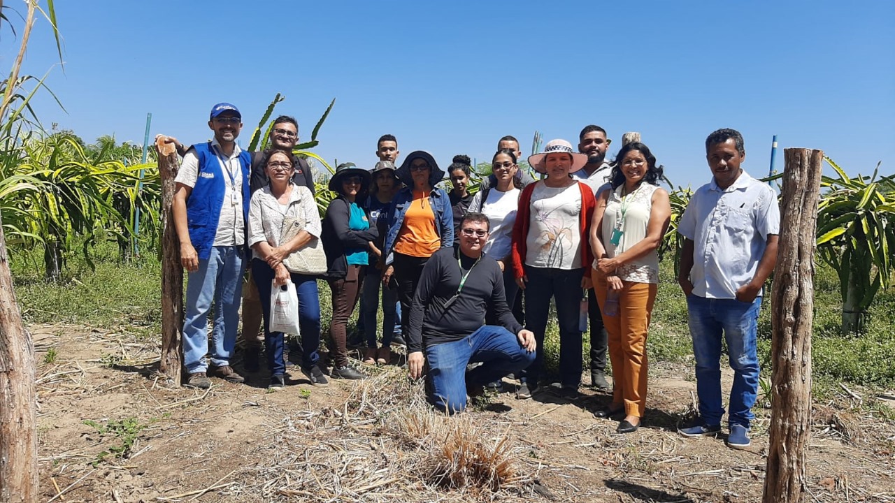 Estudantes visitam produtora de pitaya em experiência única