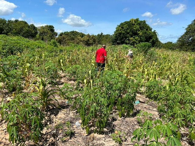 Agricultoras de Pindoretama-CE são exemplos nos programas Garantia Safra e Hora de Plantar