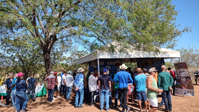 Iguatu-CE: Ematerce participa de programa que objetiva revitalizar o plantio do algodão