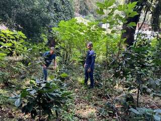 Guaramiranga-CE: Ematerce assiste produtor de café arábica especial