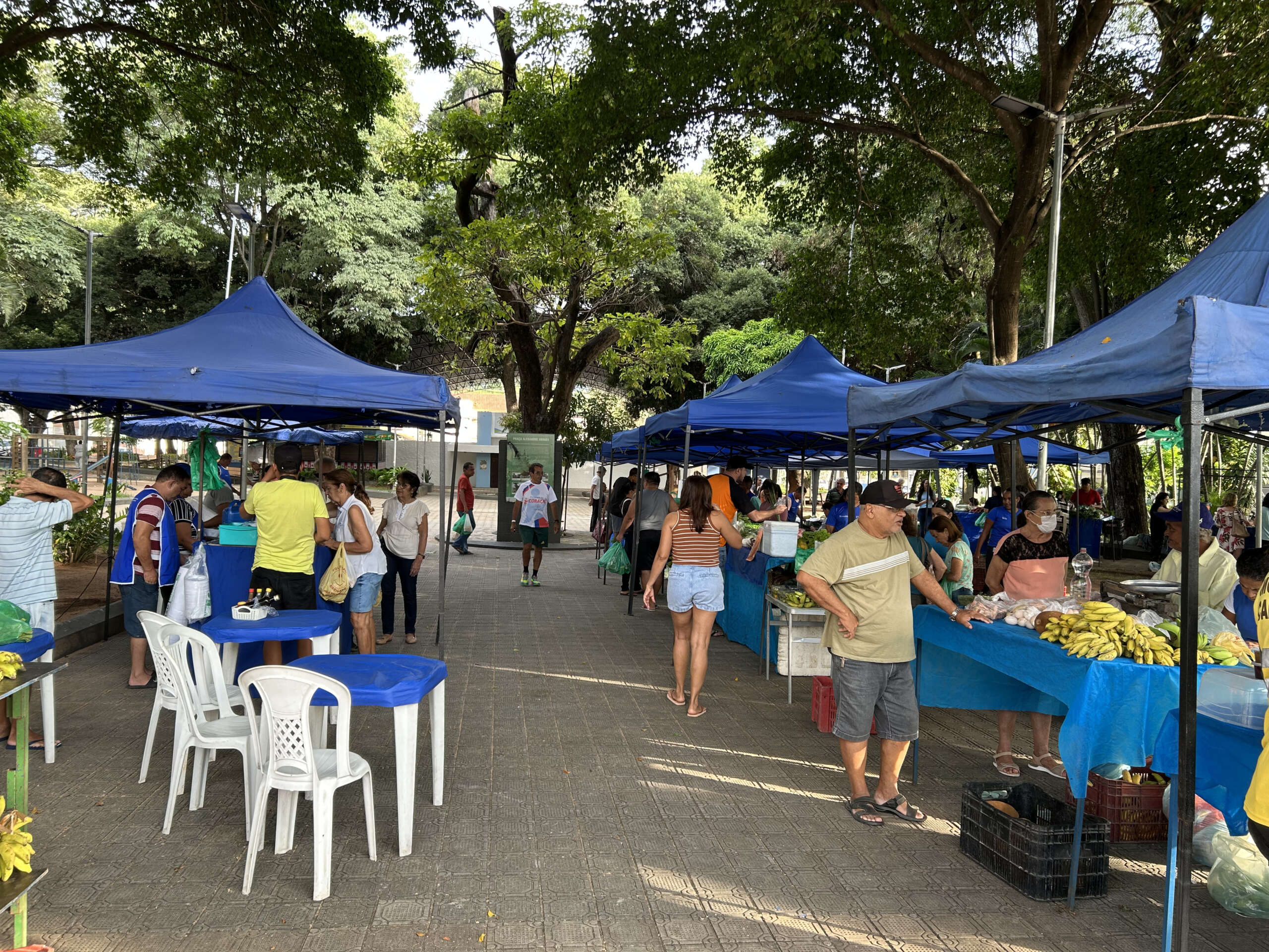 Ematerce do Crato-CE Assiste Produtores Rurais na Realização de Feira Agroecológica