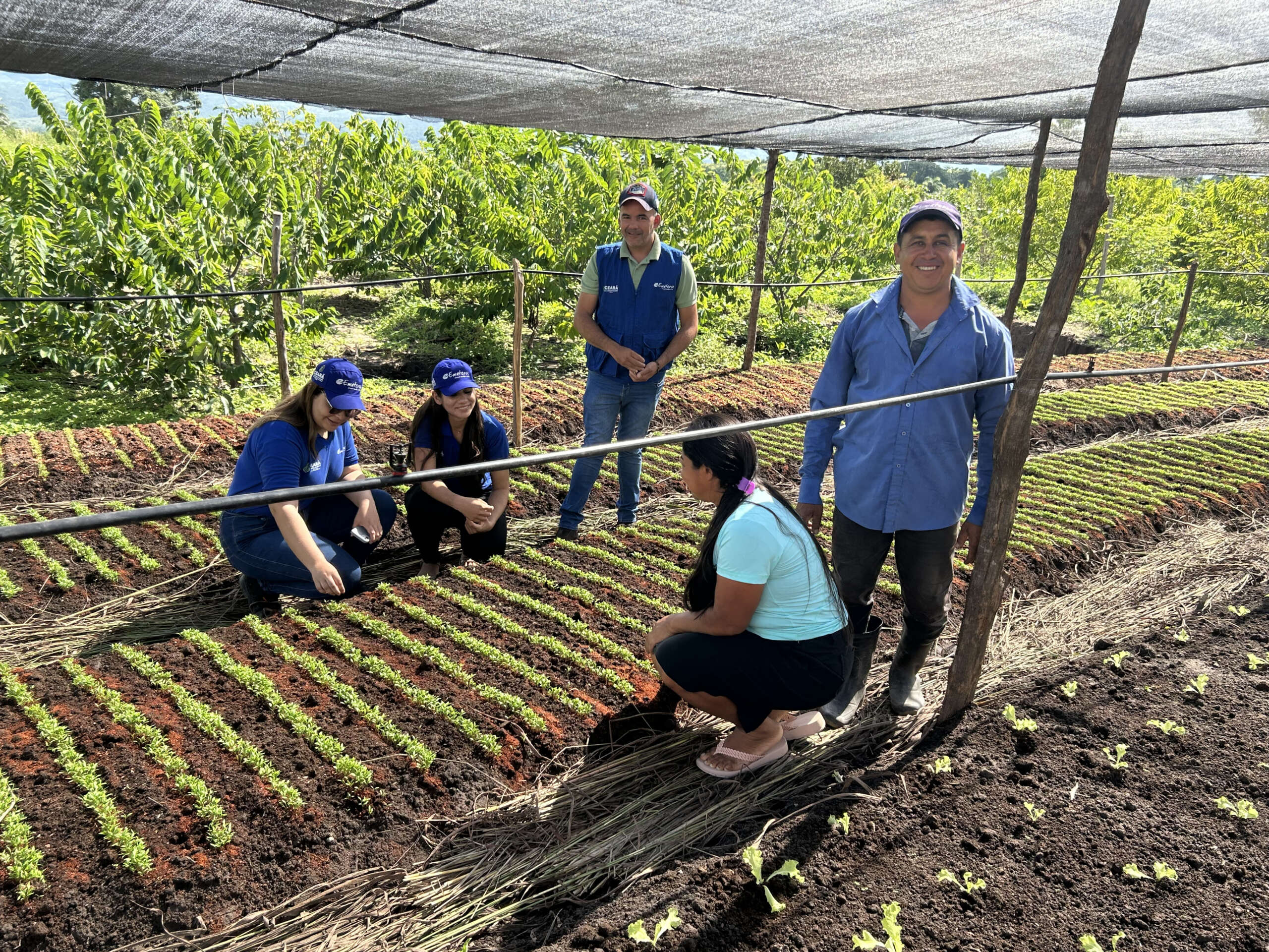 Ematerce foi escolhida como uma das participantes do Programa CoLab