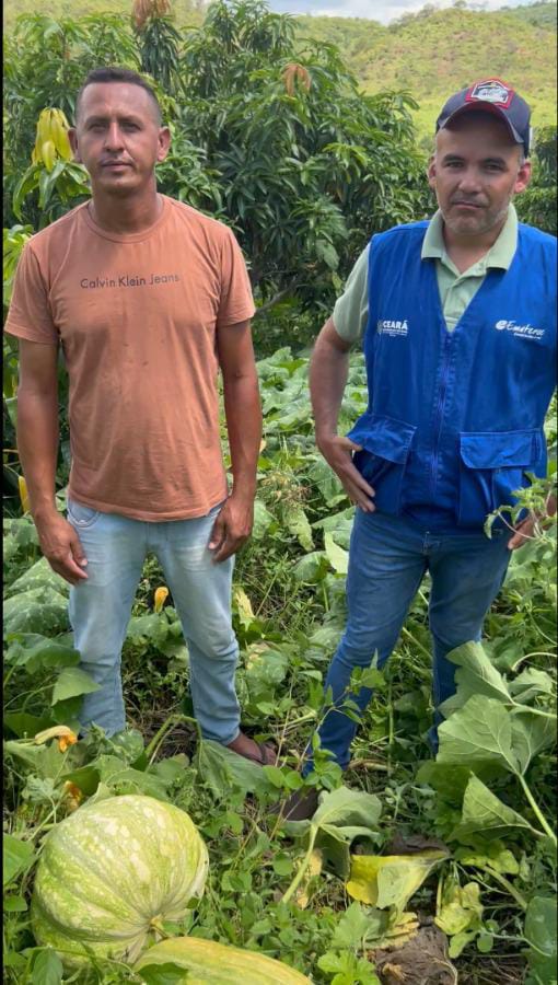 Propriedades rurais de Nova Olinda-CE assistidas pela Ematerce aumentam produtividade