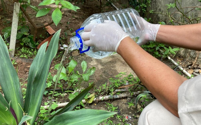 Importância de estratégias integradas de prevenção e controle ‌da dengue; consultor em infectologia da ESP/CE dá dicas
