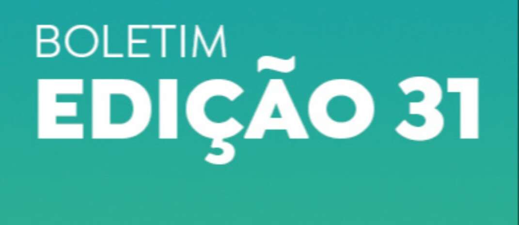 BOLETIM 31