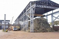 União Européia e governo brasileiro investem em pesquisa na área de biocombustíveis de segunda geração