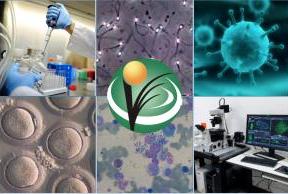 Pós-Graduação em Ciências Veterinárias da Uece abrirá inscrições para mestrado e doutorado