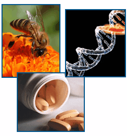 CIAT – Centro de Informação e Assistência Toxicológica
