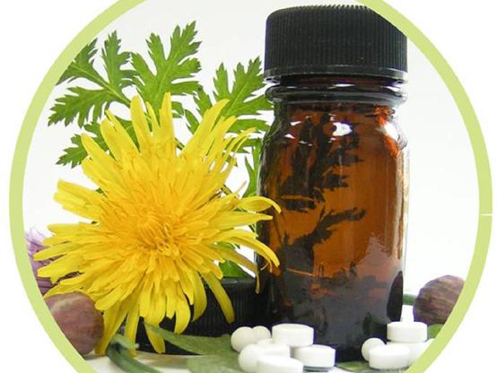 Homeopatia contra a dengue