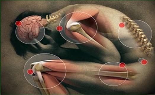 Curso de Pesquisa em Fisioterapia no HGF