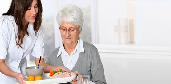 I Curso Interdisciplinar de Terapia Nutricional é realizado no HGF