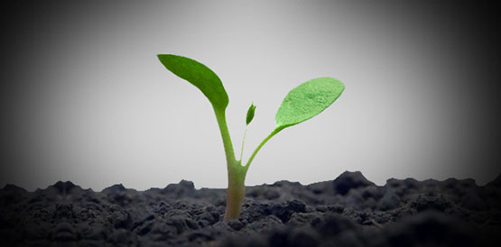 HGF comemora com palestra semana do meio ambiente