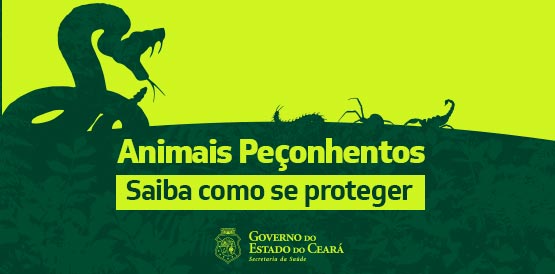 Secretaria da Saúde orienta como prevenir acidentes com animais peçonhentos