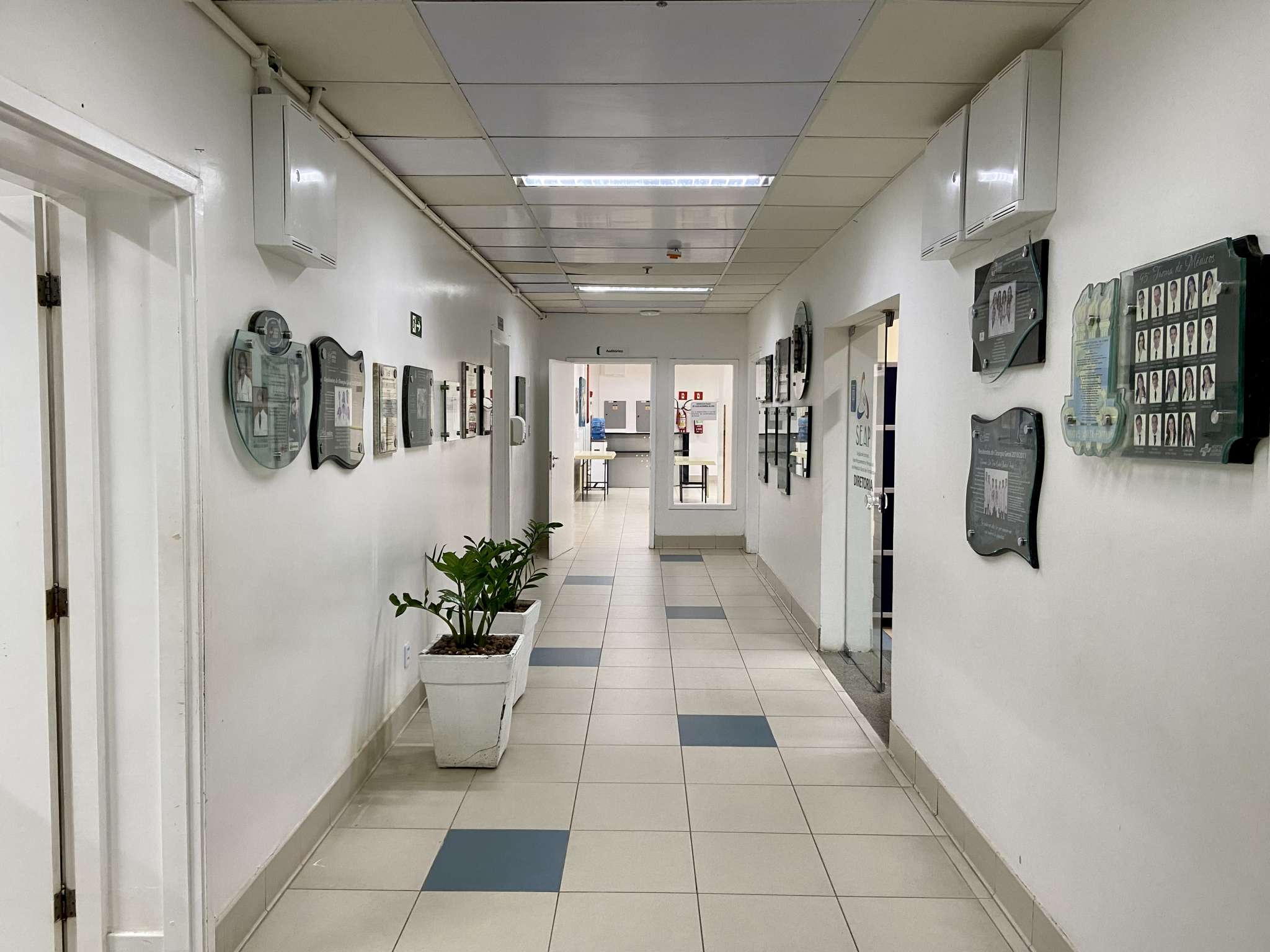 Fellowship em Medicina e Odontologia: HGF divulga resultado final do edital nº 1 de 2024