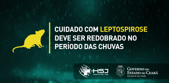 Prevenção: especialista orienta sobre cuidados com leptospirose