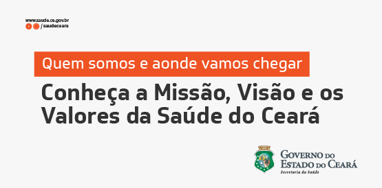 Missão, visão e valores: conheça as novas diretrizes organizacionais