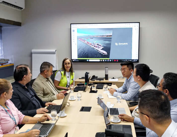 SRI participa de agenda com representantes da PowerChina e apresenta potencial estratégico do Ceará para investimentos