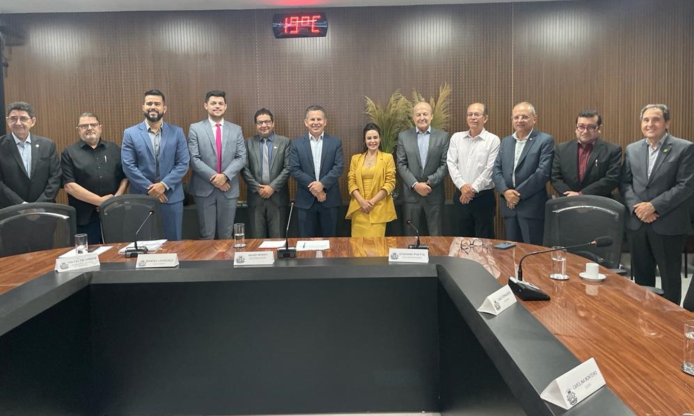 Simplificação e segurança de dados são discutidos em reunião do comitê gestor do convênio Redesim Conectada  