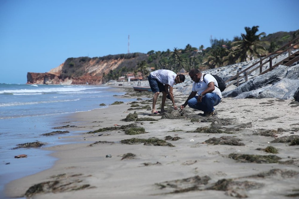 Óleo nas praias: Quem vai pagar a conta?