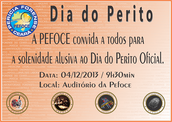 Dia do Perito 2013