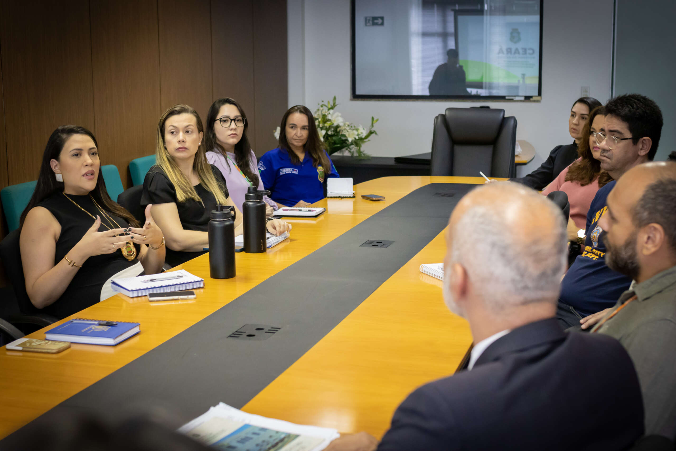 CGD/CE ministra palestra sobre combate ao assédio moral para membros da Comissão de Prevenção e Enfrentamento da Pefoce
