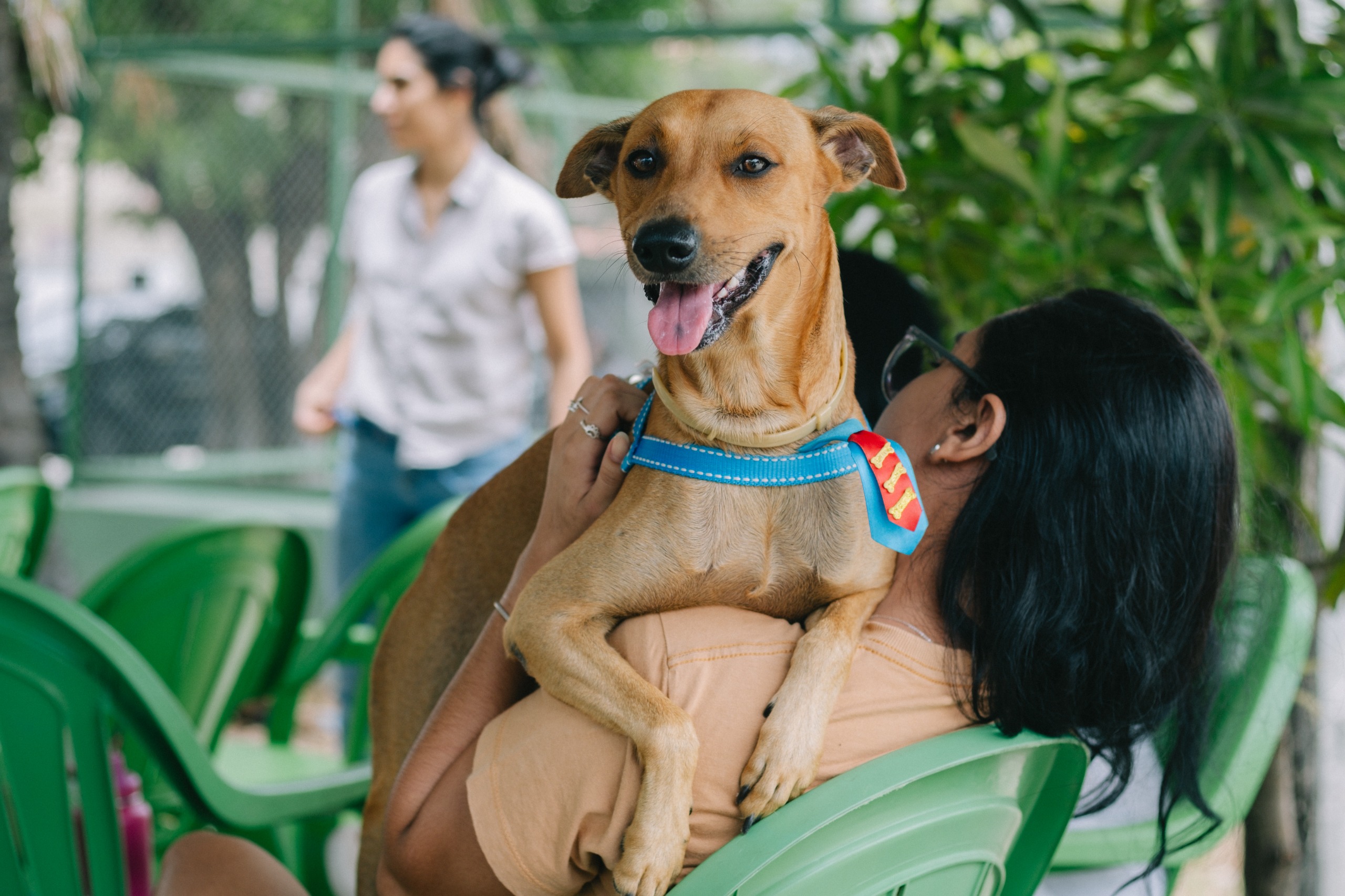 Pet Ceará Móvel chega aos bairros Messejana e Canindezinho